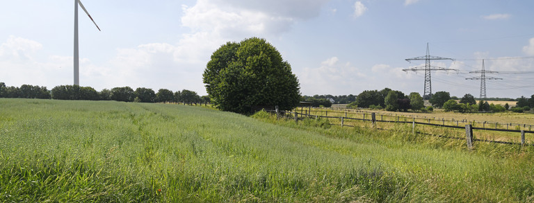 Headerbild WEA und Trassen Windnergieanlage und Stromtrassen auf einem Feld