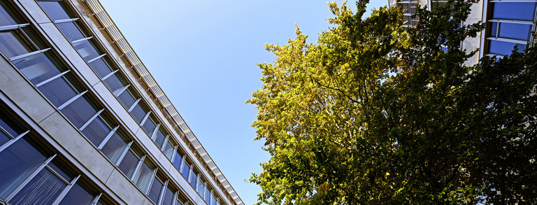 Campus Süd im Sommer