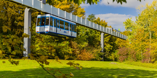 Die H-Bahn fährt und Bäume in herbstlichen Farben sind rechts und links zu sehen.